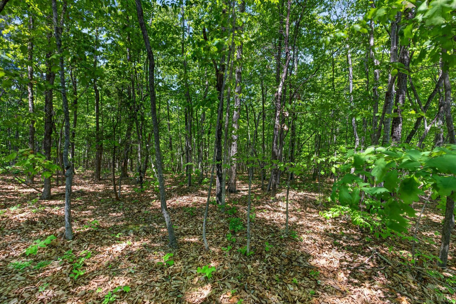 1301 Hummingbird Lane Spout Spring, VA 24593 - Photo 58 of 69