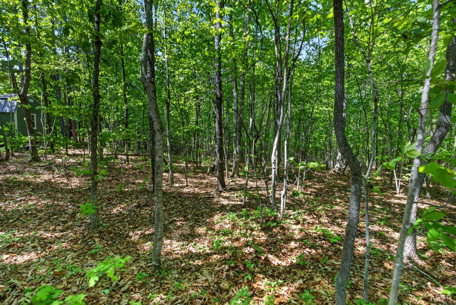 1301 Hummingbird Lane Spout Spring, VA 24593 - Photo 59 of 69