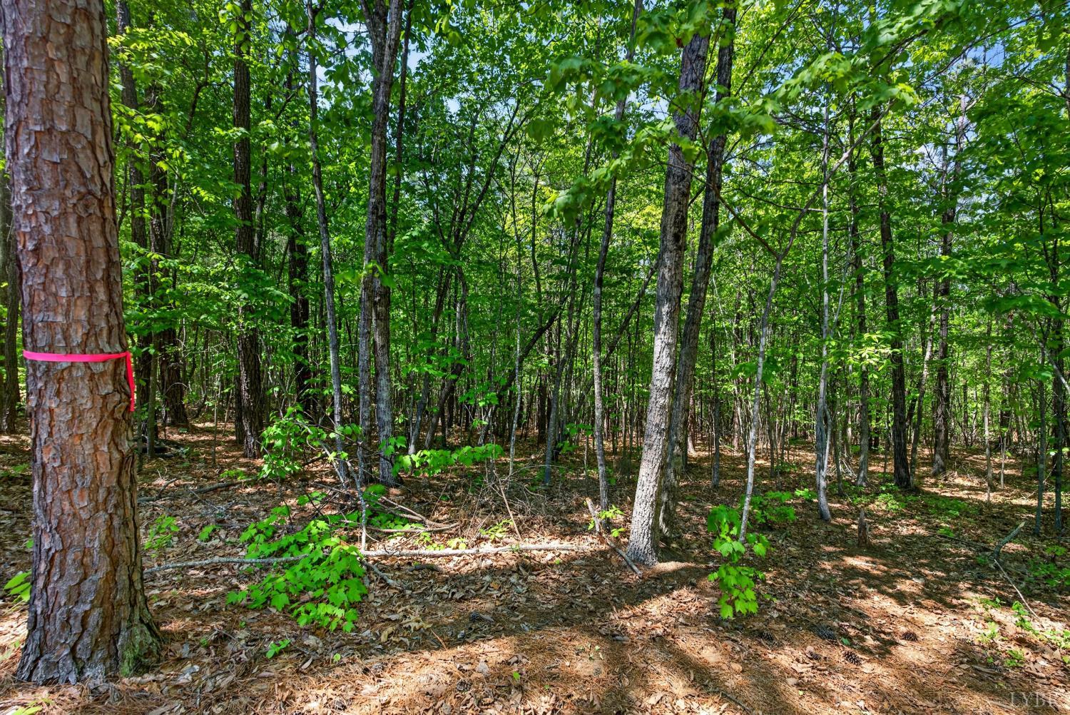 1301 Hummingbird Lane Spout Spring, VA 24593 - Photo 60 of 69
