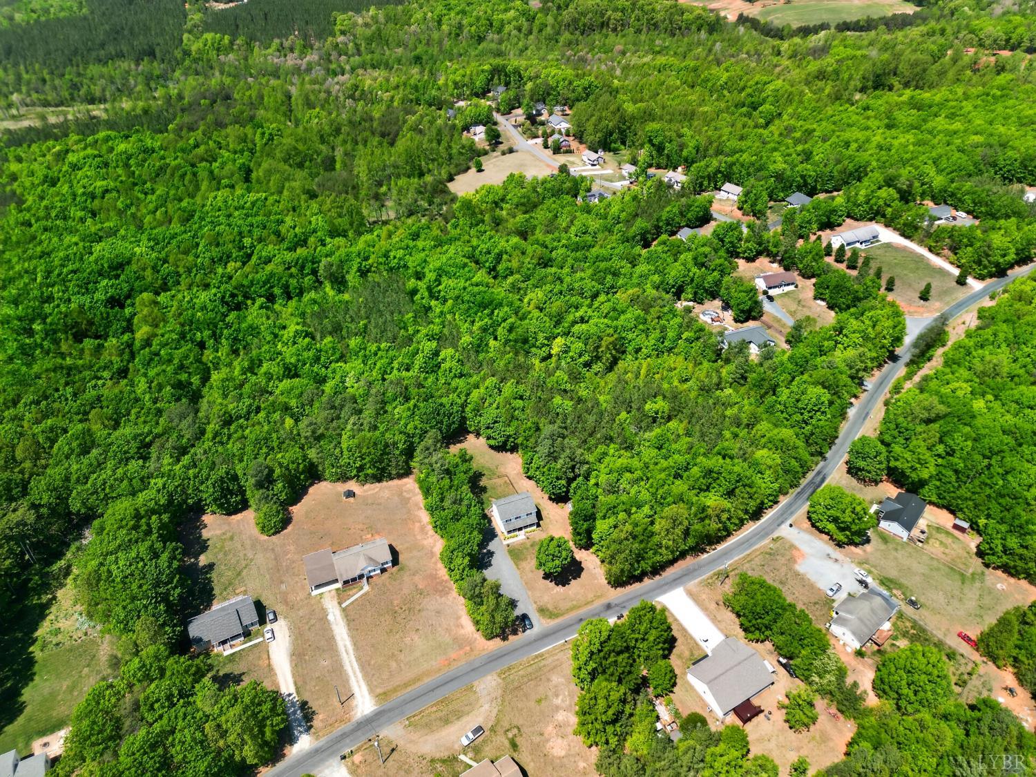 1301 Hummingbird Lane Spout Spring, VA 24593 - Photo 64 of 69