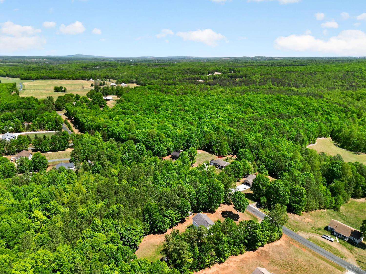 1301 Hummingbird Lane Spout Spring, VA 24593 - Photo 66 of 69