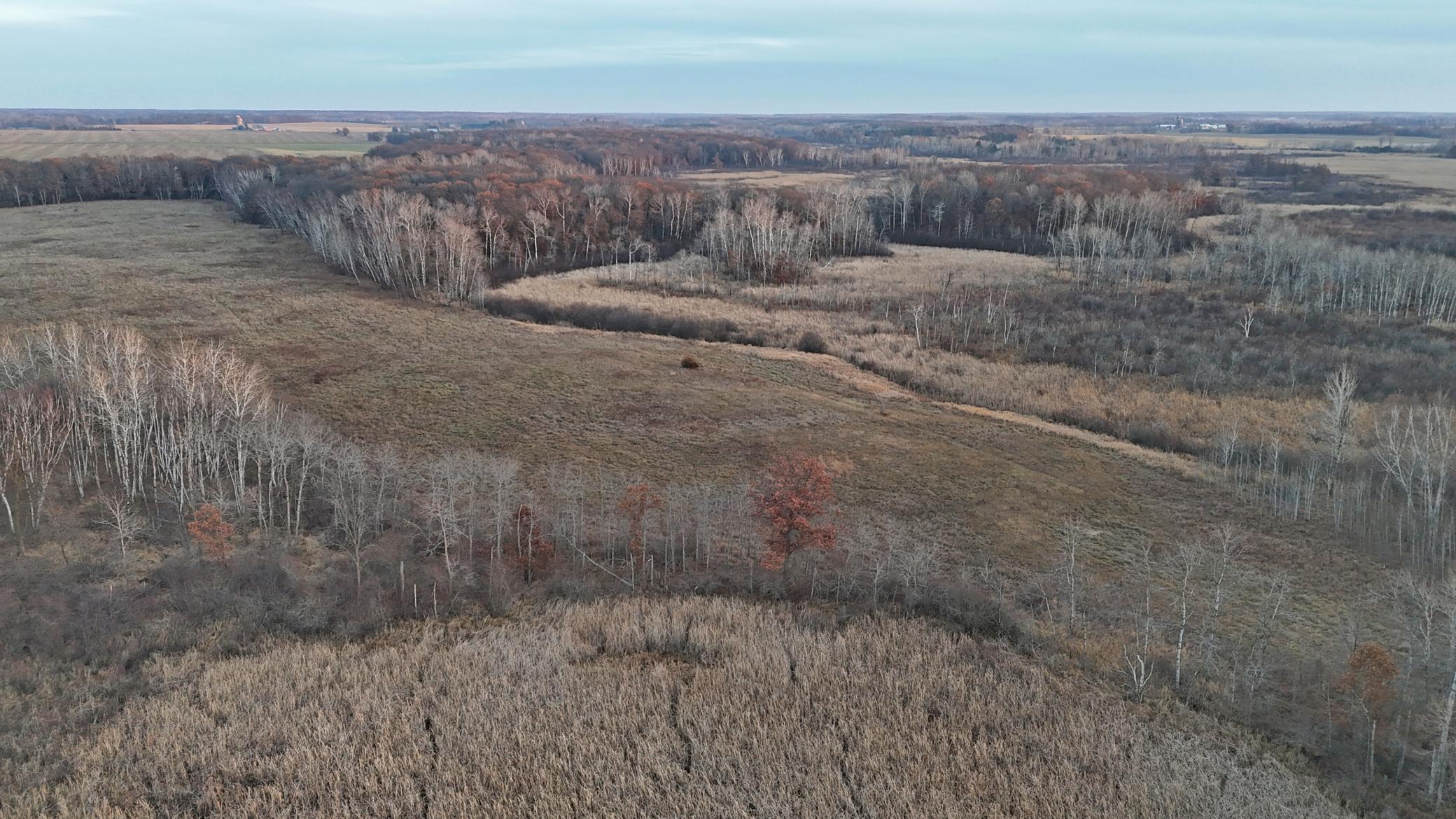 26-xxx 175th Avenue Fort Ripley, MN 56449 - Photo 42 of 46