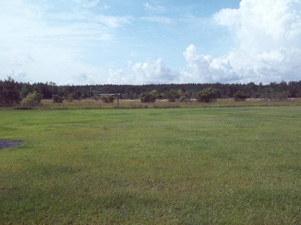 28562 Wagner Road Albany, LA 70711 - Photo 16 of 18