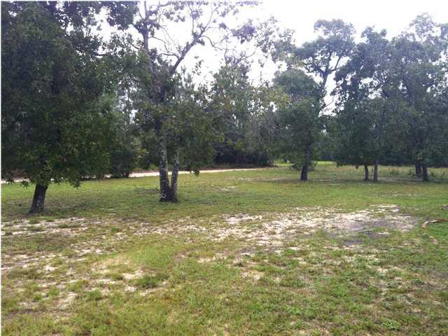 4505 Cedar Springs Farm Road Holt, FL 32564 - Photo 23 of 35 Gallery Image 23