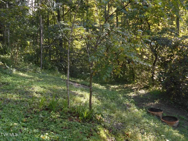 $115,000 | 17532 Phillips Road, Bristol, VA 24202