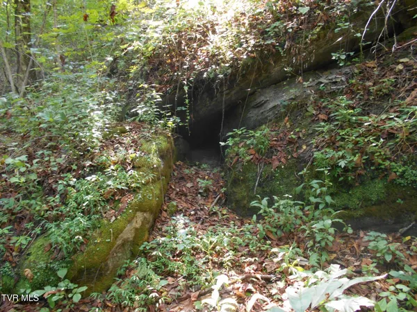 $115,000 | 17532 Phillips Road, Bristol, VA 24202