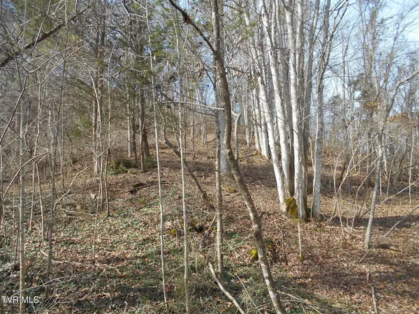 $115,000 | 17532 Phillips Road, Bristol, VA 24202