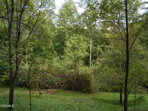 $115,000 | 17532 Phillips Road, Bristol, VA 24202