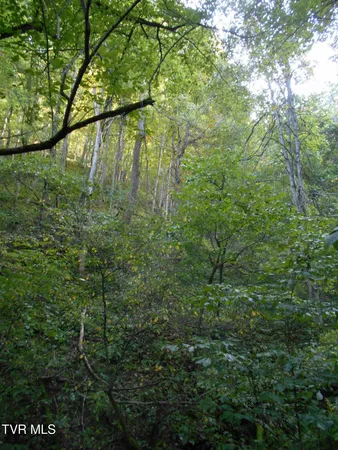 $115,000 | 17532 Phillips Road, Bristol, VA 24202