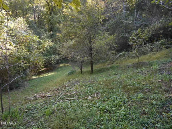 $115,000 | 17532 Phillips Road, Bristol, VA 24202