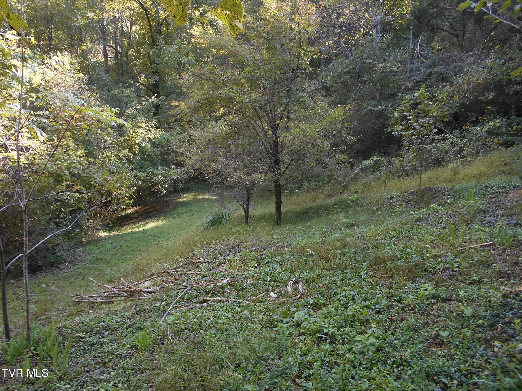 17532 Phillips Road Bristol, VA 24202 - Photo 19 of 27 464592730_8730604996960503_6841444115969