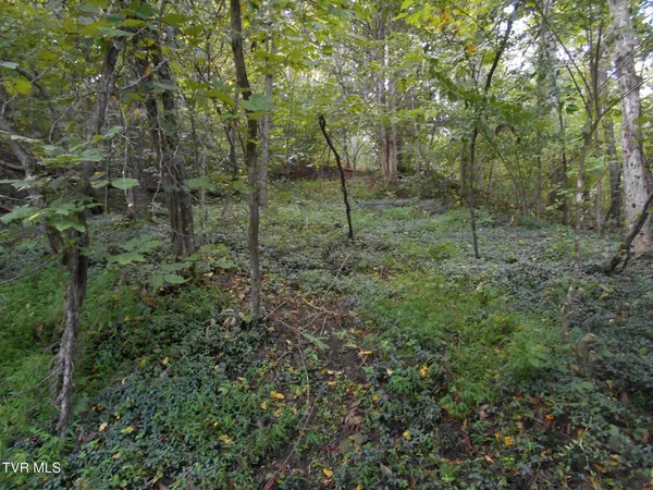 $115,000 | 17532 Phillips Road, Bristol, VA 24202