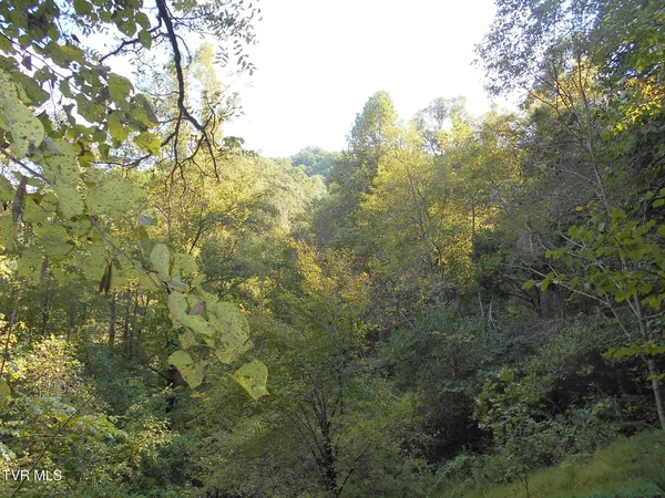 $115,000 | 17532 Phillips Road, Bristol, VA 24202