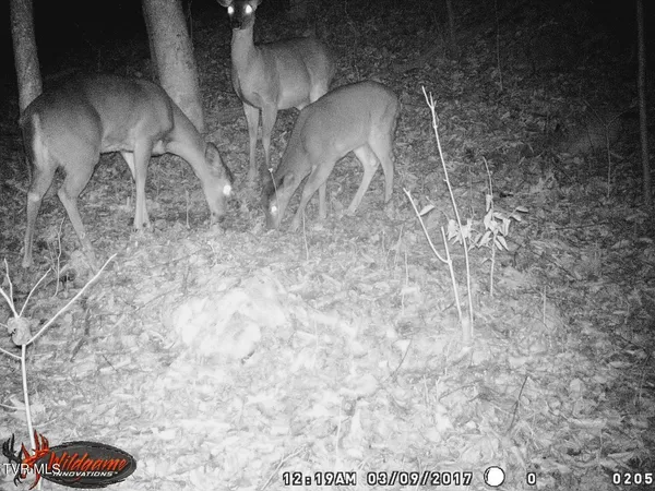 $115,000 | 17532 Phillips Road, Bristol, VA 24202