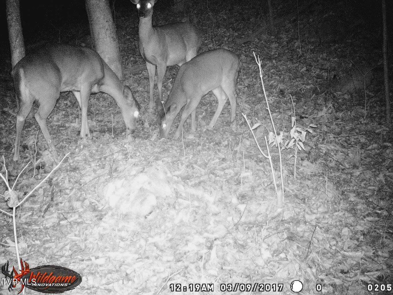 17532 Phillips Road Bristol, VA 24202 - Photo 22 of 27 465418144_8791135970907405_1565469641482