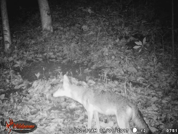 $115,000 | 17532 Phillips Road, Bristol, VA 24202