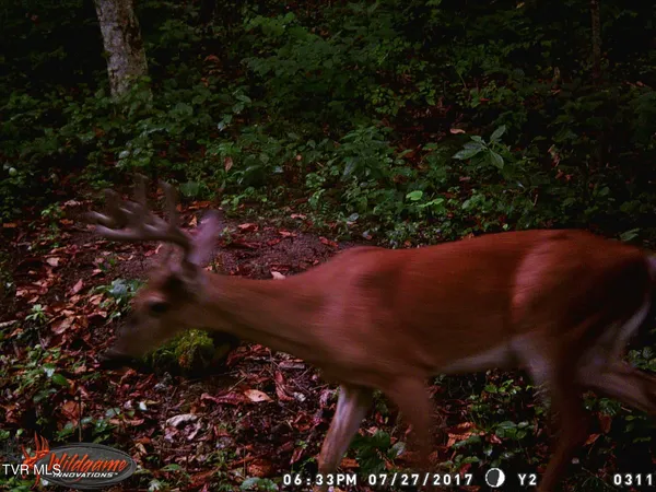 $115,000 | 17532 Phillips Road, Bristol, VA 24202