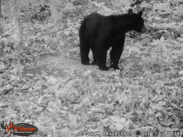 $115,000 | 17532 Phillips Road, Bristol, VA 24202