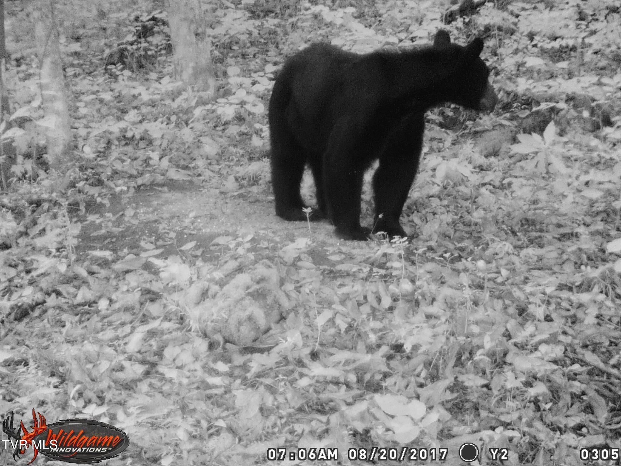 17532 Phillips Road Bristol, VA 24202 - Photo 25 of 27 465781984_8803955652958770_3829213213216