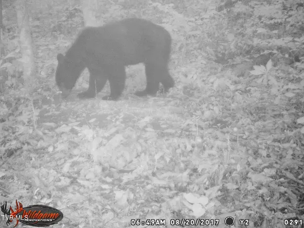 $115,000 | 17532 Phillips Road, Bristol, VA 24202