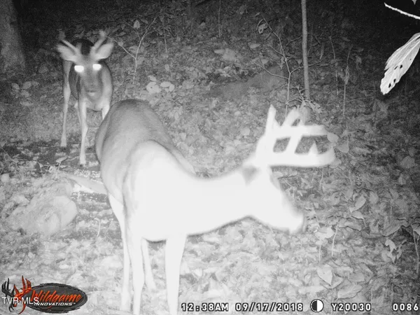 $115,000 | 17532 Phillips Road, Bristol, VA 24202