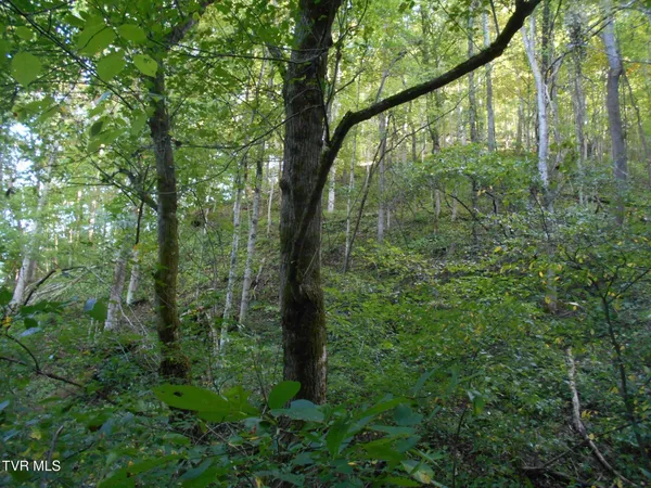 $115,000 | 17532 Phillips Road, Bristol, VA 24202