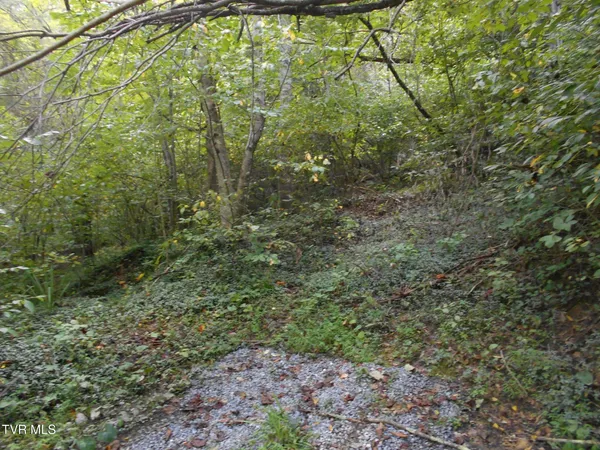 $115,000 | 17532 Phillips Road, Bristol, VA 24202