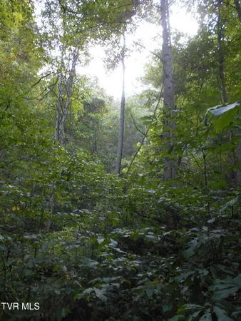 $115,000 | 17532 Phillips Road, Bristol, VA 24202