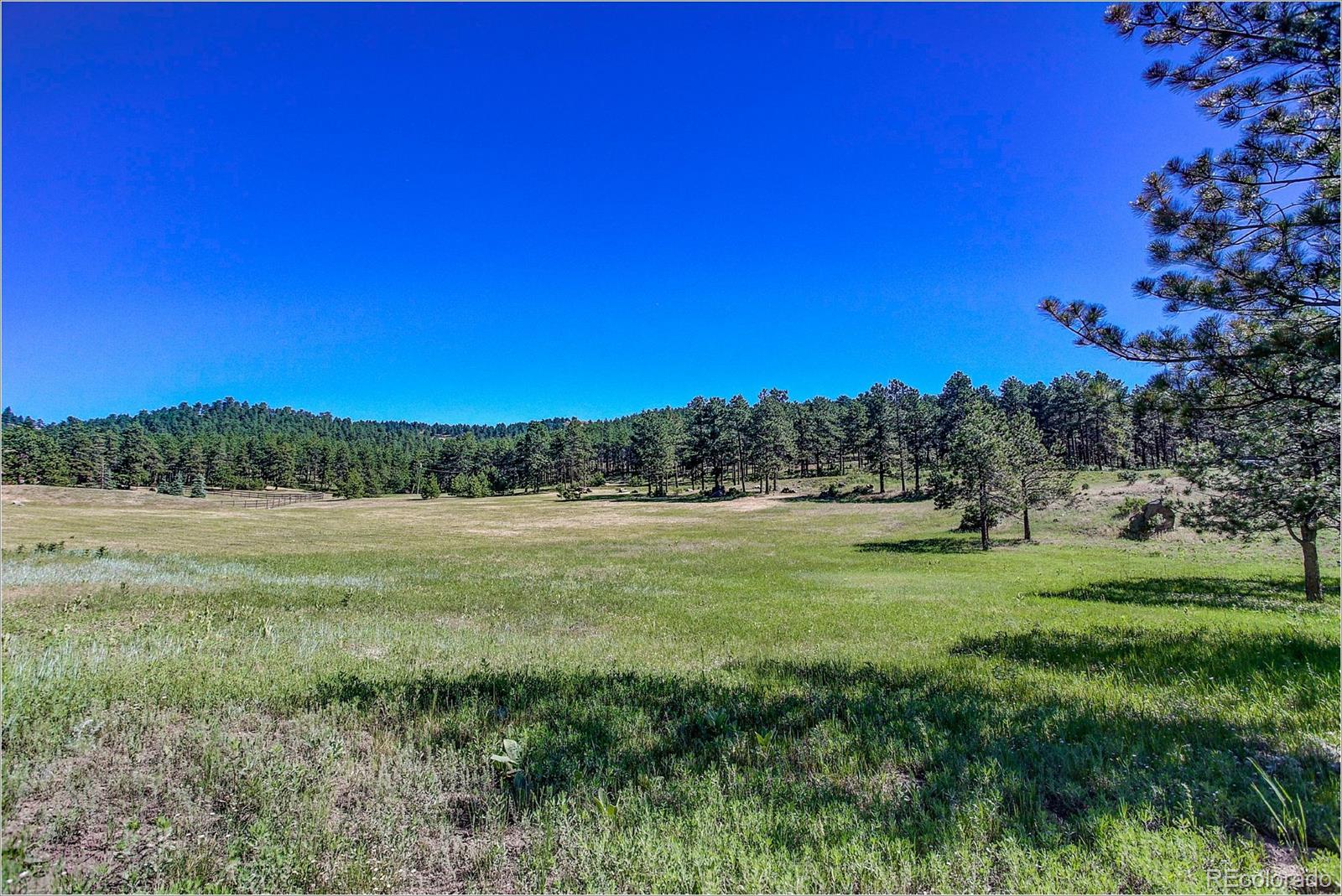 1559 Kerr Gulch Road Evergreen, CO 80439 - Photo 31 of 34 a view of an outdoor space and a yard