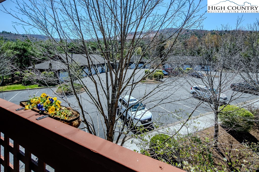 151 Deer Valley Drive, Unit 231 Boone, NC 28607 - Photo 6 of 35 a view of a tree in front of a house