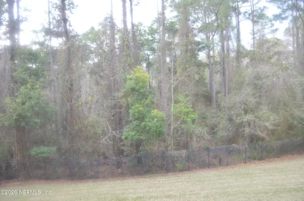a view of a forest