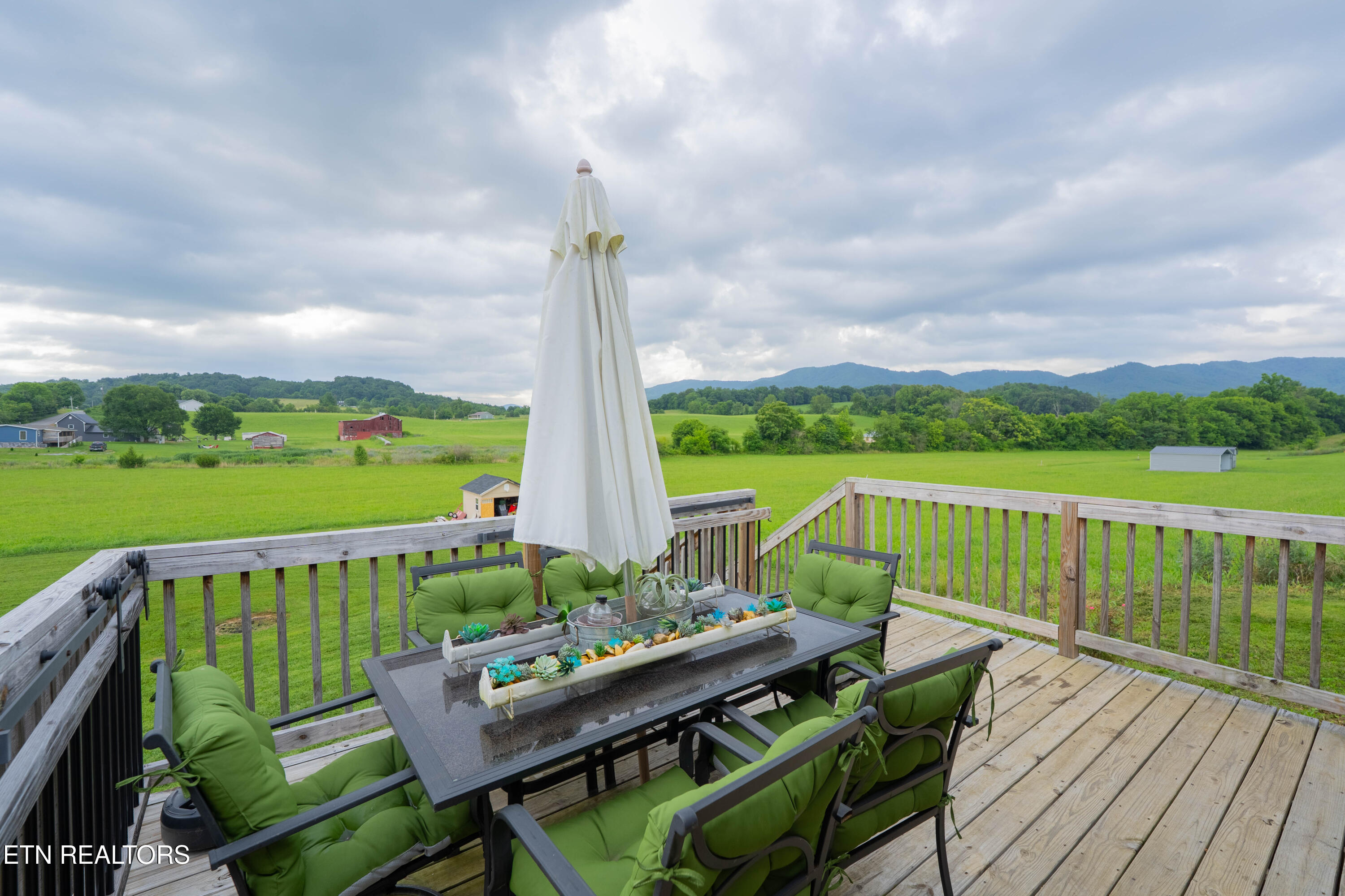 35 Little Meadow Creek Road Greeneville, TN 37743 - Photo 21 of 24 back view
