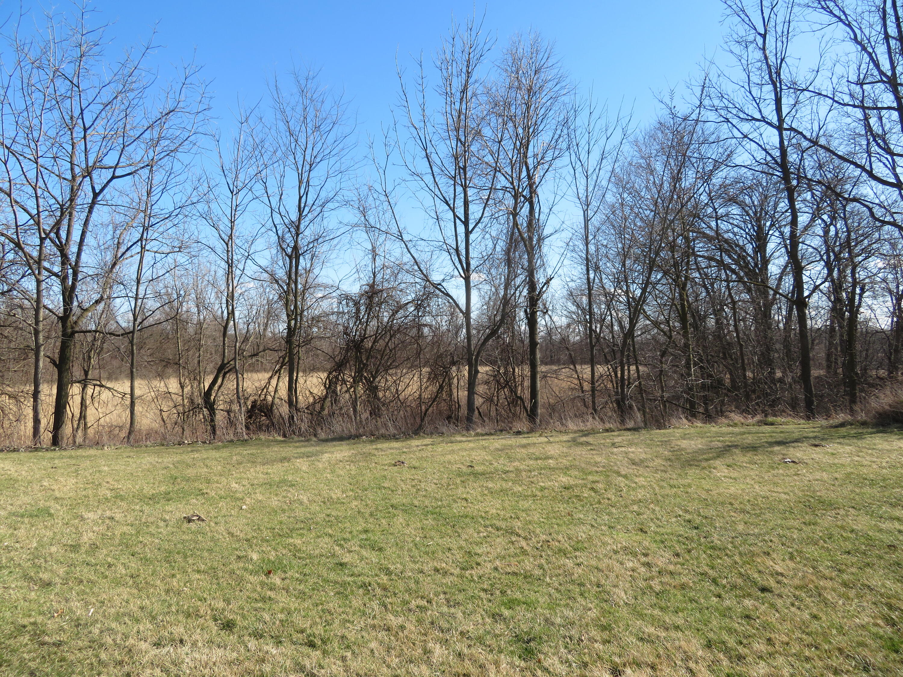 16805 Brewer Road Dundee, MI 48131 - Photo 12 of 22 IMG_0184