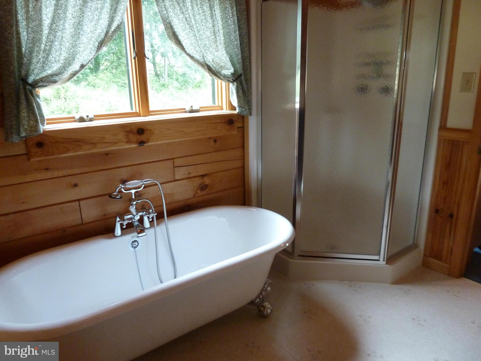 11682 Rocky Meadow Road Clear Spring, MD 21722 - Photo 13 of 30 a bath tub sitting next to a window