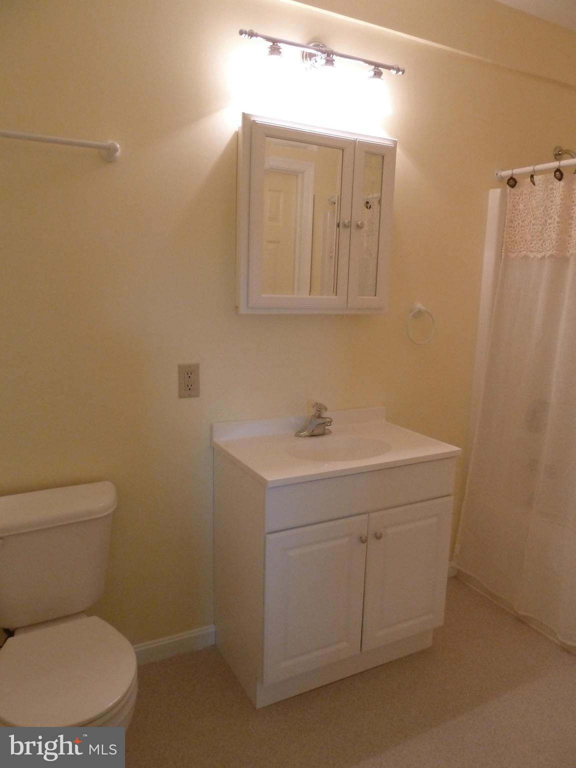11682 Rocky Meadow Road Clear Spring, MD 21722 - Photo 15 of 30 a bathroom with a sink toilet and vanity