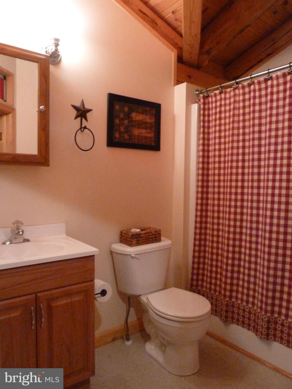 11682 Rocky Meadow Road Clear Spring, MD 21722 - Photo 18 of 30 a bathroom with a toilet a sink and mirror