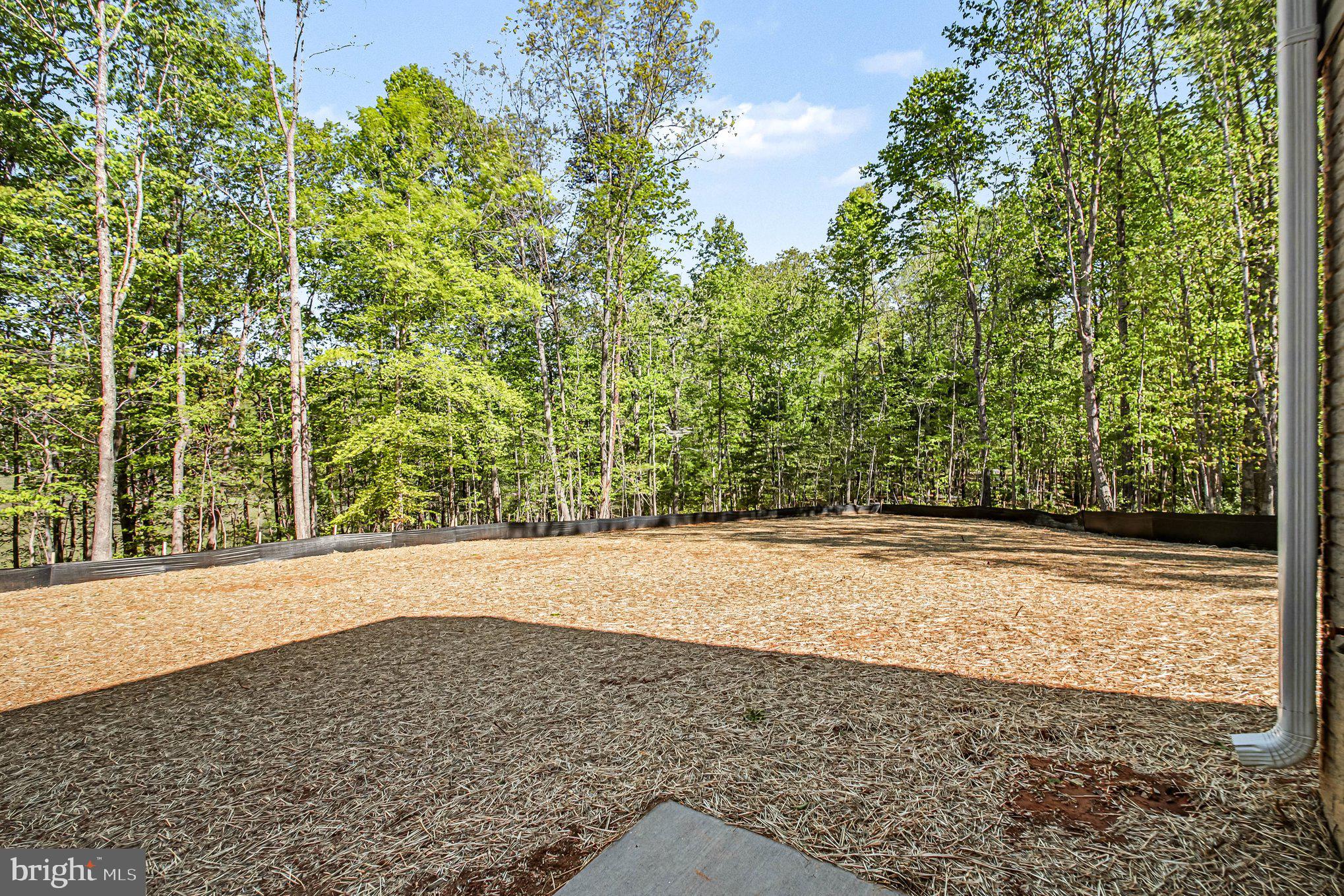 4163 Holly Springs Road Rixeyville, VA 22737 - Photo 43 of 47