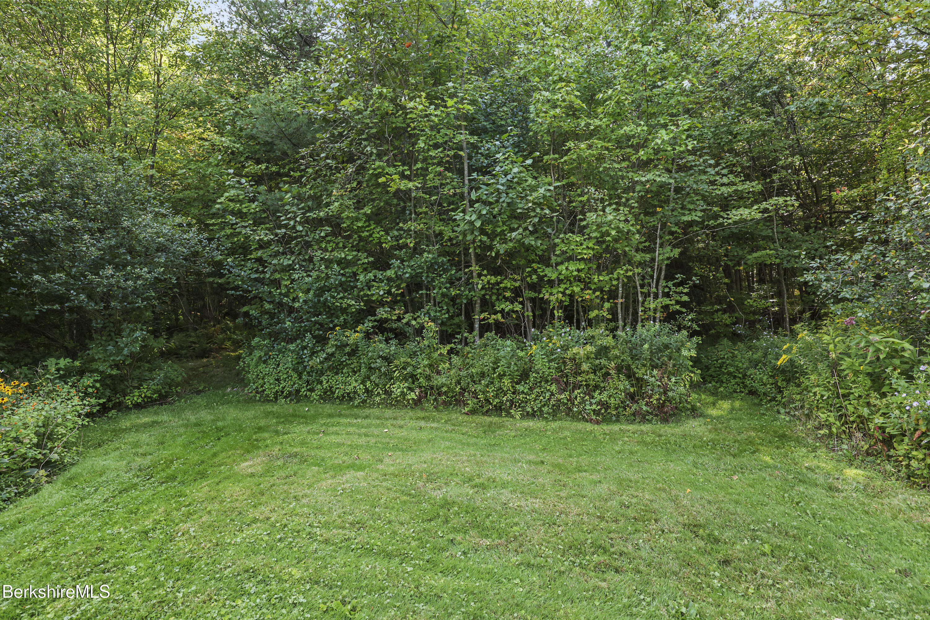 78 East Main Road Peru, MA 01235 - Photo 48 of 56 a view of a yard with a trees