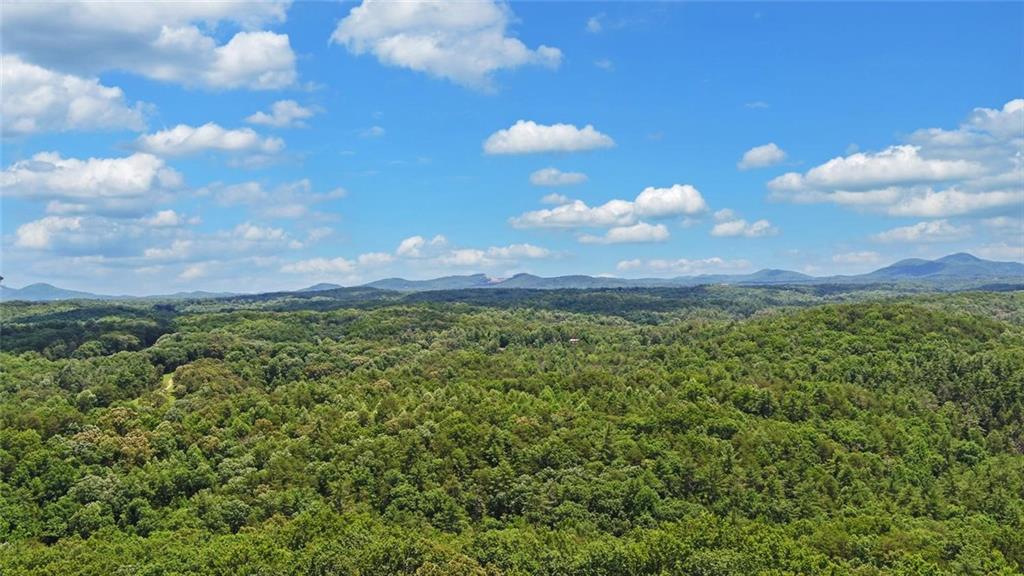 368 Stancil Dyer Road Dahlonega, GA 30533 - Photo 70 of 80