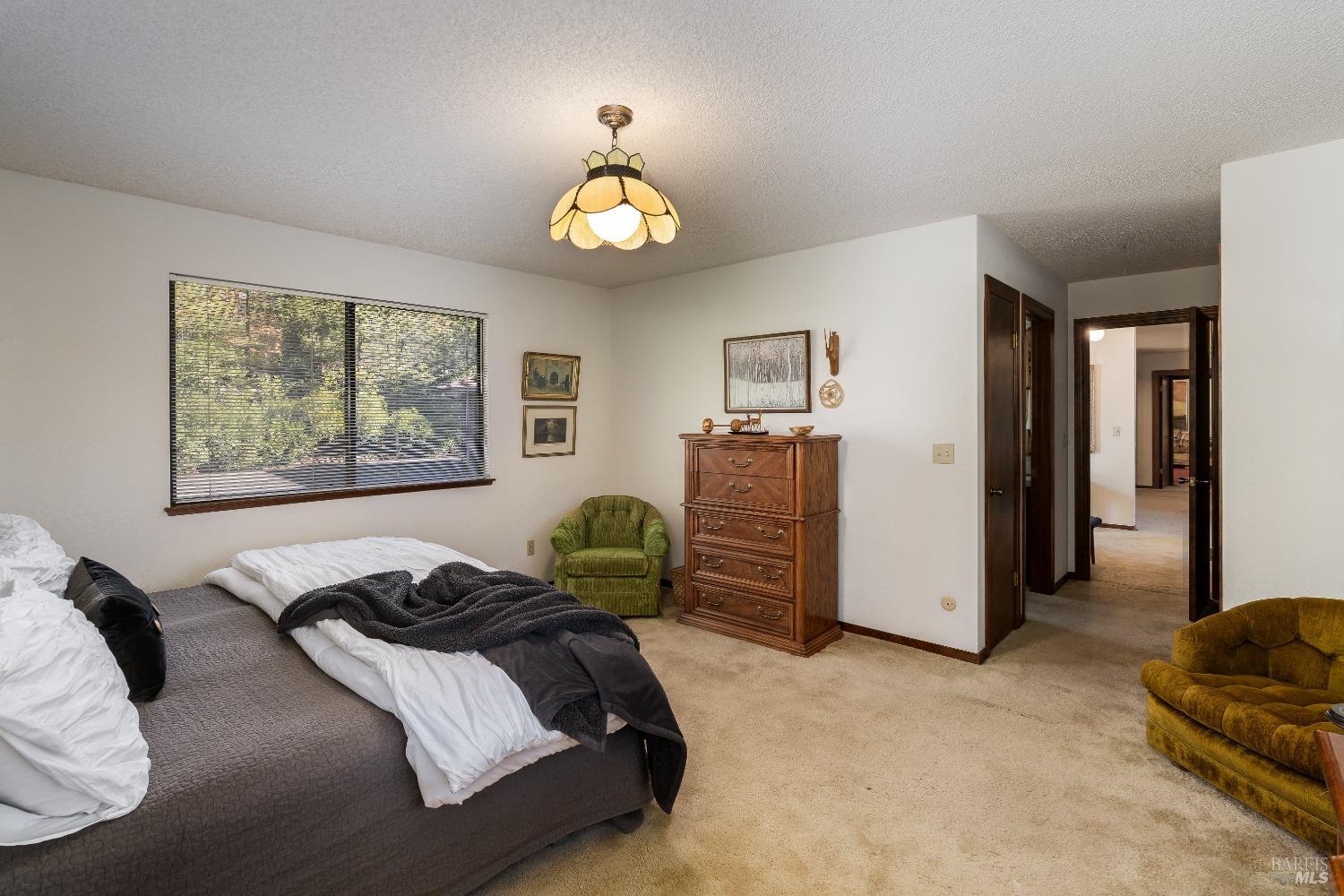 1045 Summit Lake Drive Angwin, CA 94508 - Photo 22 of 30
