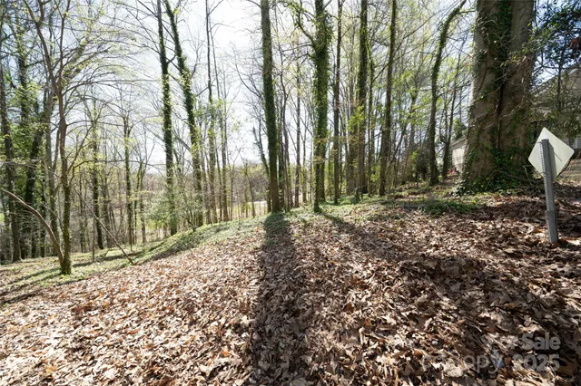 a view of outdoor space with deck and trees
