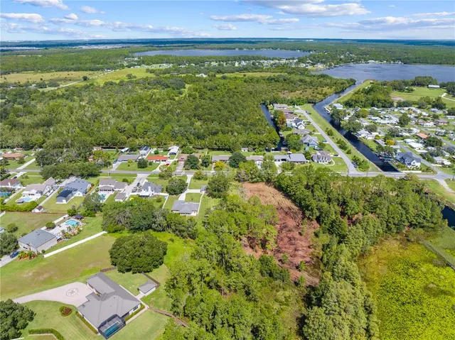 a view of a bunch of trees and bushes
