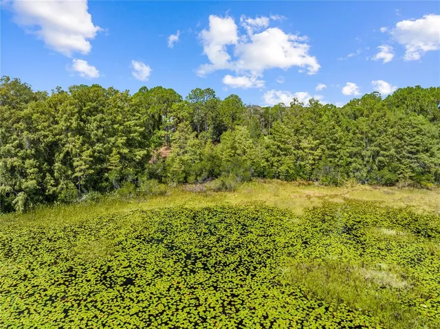 a view of a lake from a yard
