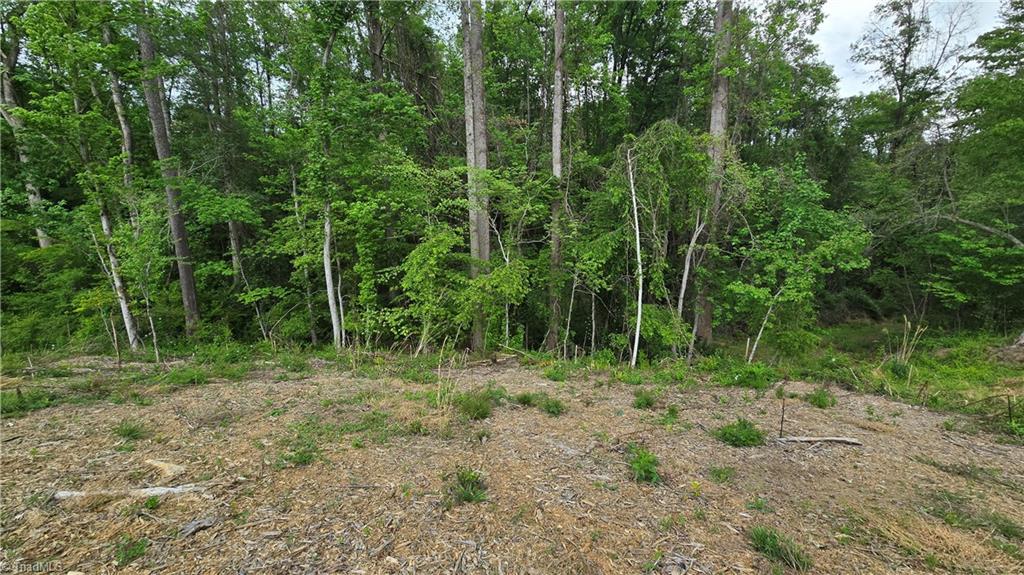 Lot 31 Meadowlark Rd Mount Mount Airy, NC 27030 - Photo 11 of 13