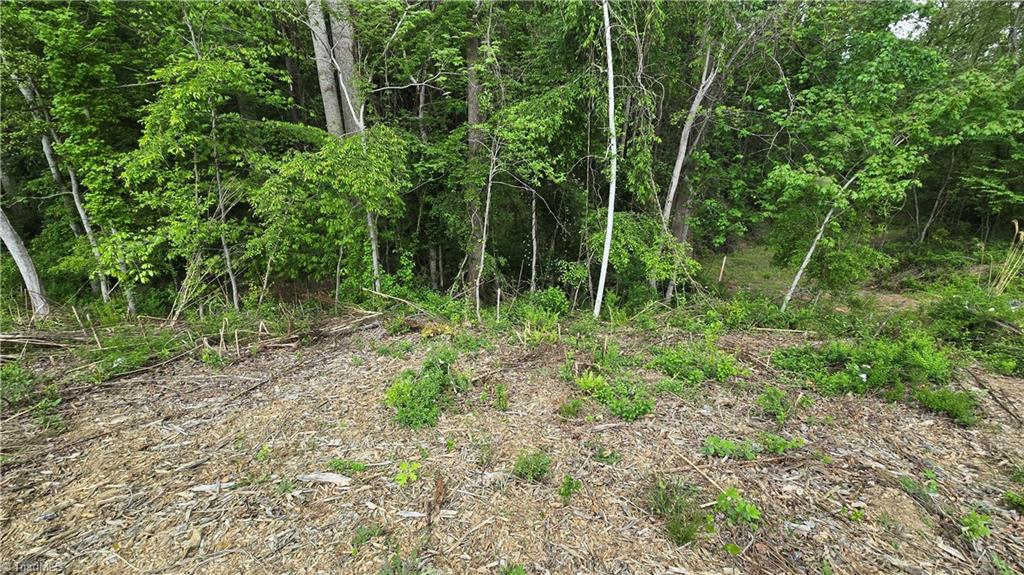 Lot 31 Meadowlark Rd Mount Mount Airy, NC 27030 - Photo 13 of 13