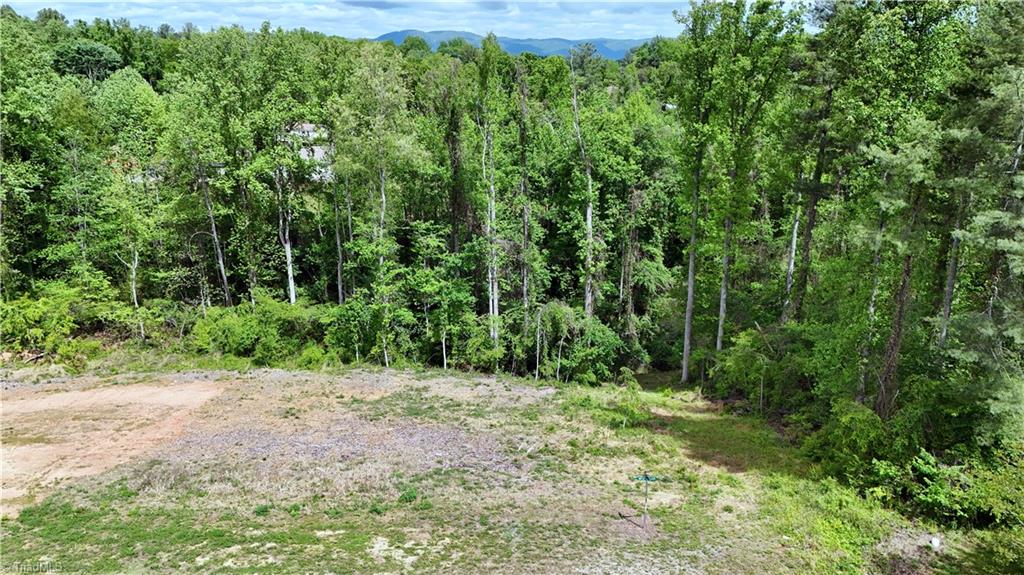 Lot 31 Meadowlark Rd Mount Mount Airy, NC 27030 - Photo 2 of 13