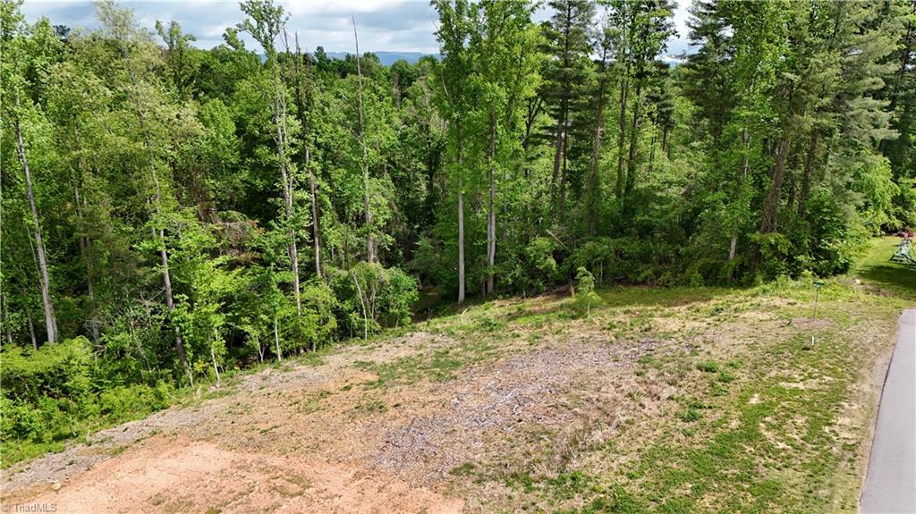 Lot 31 Meadowlark Rd Mount Mount Airy, NC 27030 - Photo 3 of 13