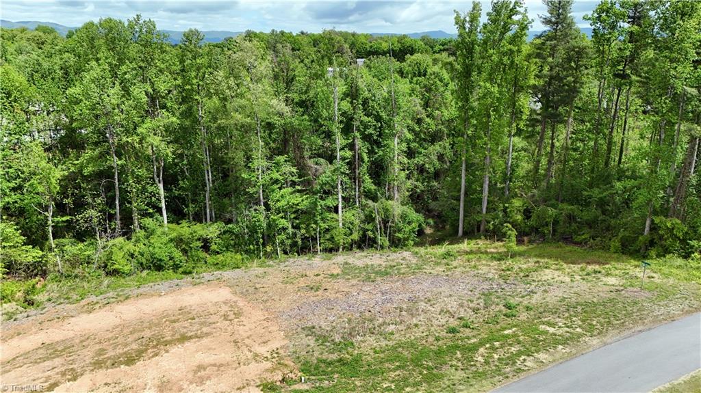 Lot 31 Meadowlark Rd Mount Mount Airy, NC 27030 - Photo 5 of 13