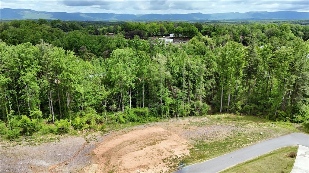 Lot 31 Meadowlark Rd Mount Mount Airy, NC 27030 - Photo 6 of 13