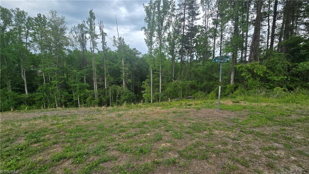 Lot 31 Meadowlark Rd Mount Mount Airy, NC 27030 - Photo 7 of 13